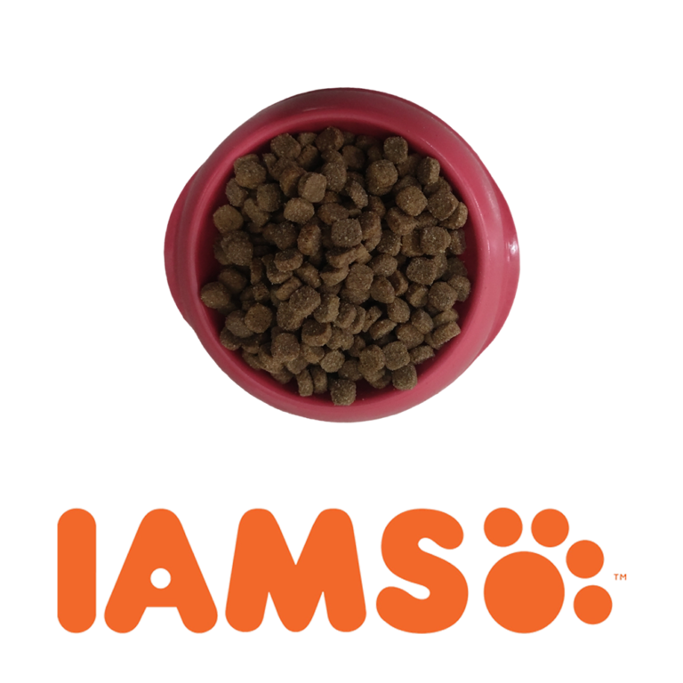 IAMS,Суха храна за котки, Adult агнешко- насипно (100гр.)