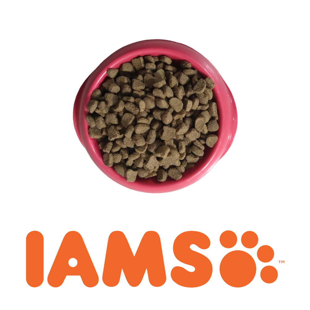 IAMS-DENTAL IAMS DENTAL