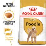 ROYAL CANIN® POODLE ADULT 1.5 кг - Image 2