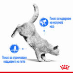 ROYAL CANIN® LIGHT WEIGHT CARE - пауч - Image 2