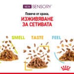 ROYAL CANIN® SENSORY SMELL in GRAVY - пауч - Image 2