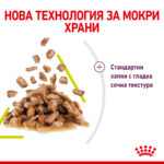 ROYAL CANIN® SENSORY TASTE in JELLY - пауч - Image 4