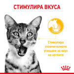 ROYAL CANIN® SENSORY TASTE in JELLY - пауч - Image 2