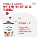 Royal Canin Training Treats – лакомство за кучета 110 г - Image 3