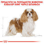ROYAL CANIN® BHN CAVALIER KING CHARLES ADULT - 1,5 кг - Image 3