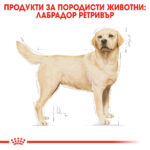 ROYAL CANIN® LABRADOR ADULT - 12 кг - Image 3