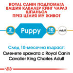 ROYAL CANIN® CAVALIER KING CHARLES PUPPY - 1,5 кг - Image 3