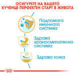 ROYAL CANIN® FRENCH BULLDOG PUPPY - 3 кг - Image 5