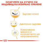 ROYAL CANIN® SHIH TZU ADULT - 3 кг - Image 5
