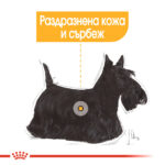 ROYAL CANIN® DERMACOMFORT LOAF pauch 85 гр. - Image 5