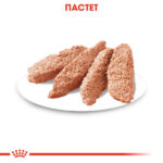 ROYAL CANIN® DERMACOMFORT LOAF pauch 85 гр. - Image 6