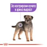 ROYAL CANIN® STERILISED in LOAF pauch - Image 5