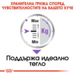 ROYAL CANIN® STERILISED in LOAF pauch - Image 7