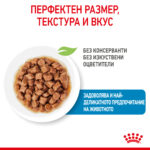 ROYAL CANIN® X-SMALL PUPPY pauch - Image 2