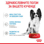 ROYAL CANIN® X-SMALL PUPPY pauch - Image 3