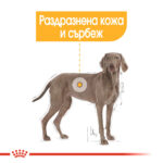 ROYAL CANIN® MAXI DERMACOMFORT - 12 кг - Image 3