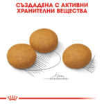 ROYAL CANIN® MAXI DERMACOMFORT - 12 кг - Image 5