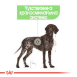 ROYAL CANIN® MAXI DIGESTIVE CARE - 3 кг - Image 3