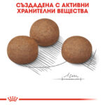 ROYAL CANIN® MAXI DIGESTIVE CARE - 3 кг - Image 5