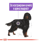 ROYAL CANIN® MAXI STERILISED - 12 кг - Image 3