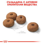 ROYAL CANIN® MAXI STERILISED - 12 кг - Image 5