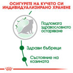 ROYAL CANIN® MINI AGEING (12+) - 1,5 кг - Image 3