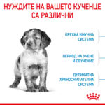 ROYAL CANIN® MEDIUM PUPPY - 10 кг - Image 3
