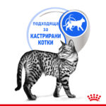 ROYAL CANIN® INDOOR in JELLY pauch - Image 3