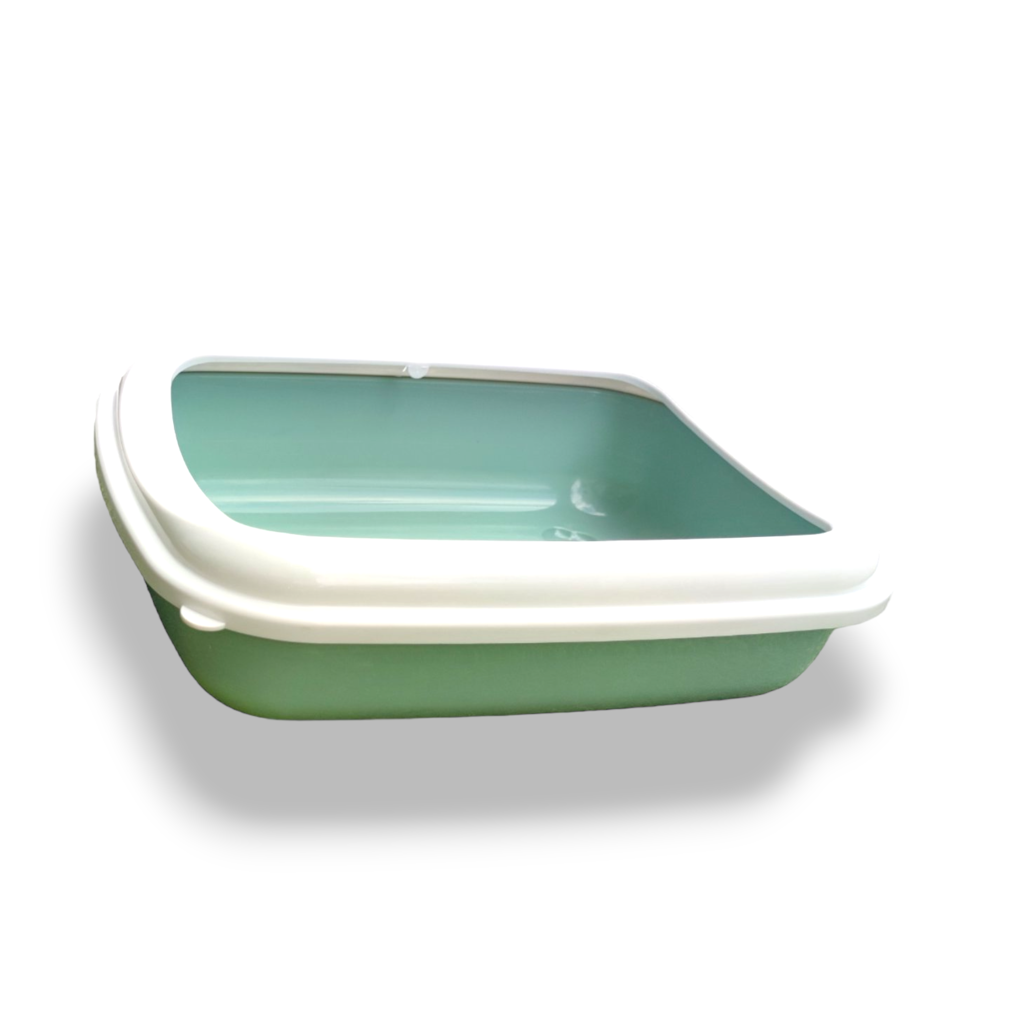 1000 x 1000-PhotoRoom - 2023-08-22T141207.901 1000 x 1000 PhotoRoom 2023 08 22T141207.901