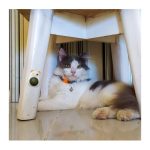 Играчка за котки, трева Mate топка, котешка билка, различни видове - Image 2