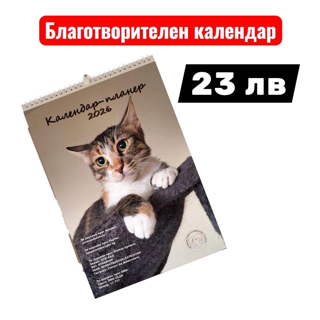2024/11/32215.jpg 32215