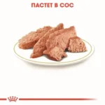 Royal Canin Poodle Loaf пауч за куче пудел 85 г - Image 3